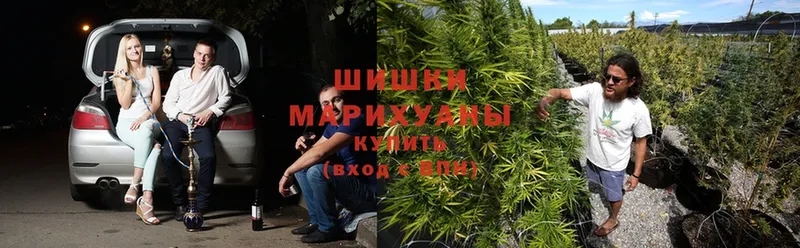 Канабис White Widow  Уфа 